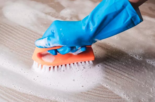 Can Mold Come Back After Cleaning