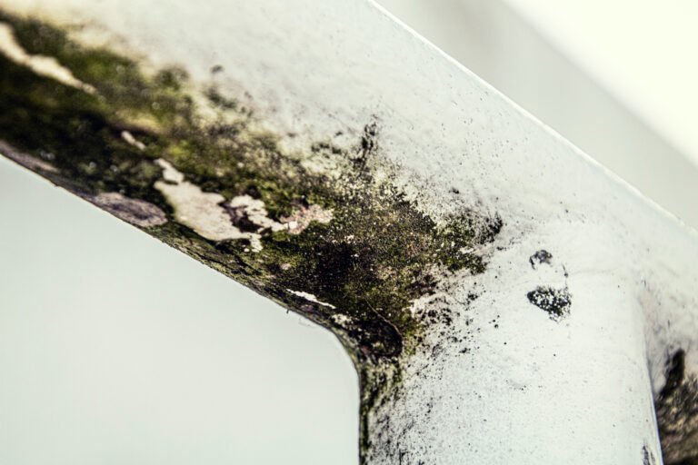 How to Get Rid of Mold in the Bathroom
