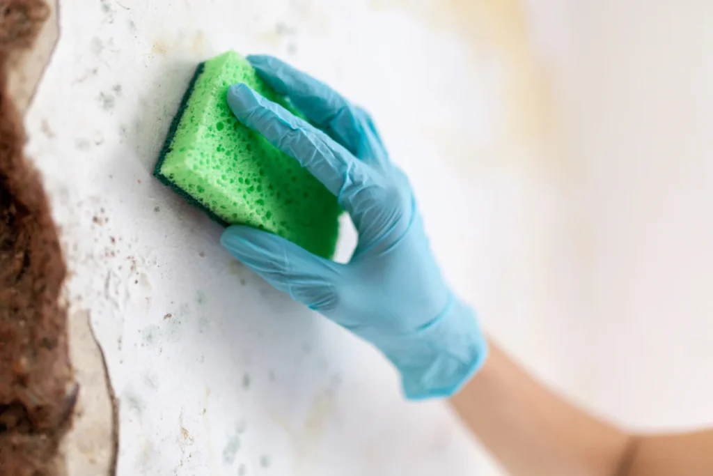How to Prevent Mold in the Bathroom From Coming Back