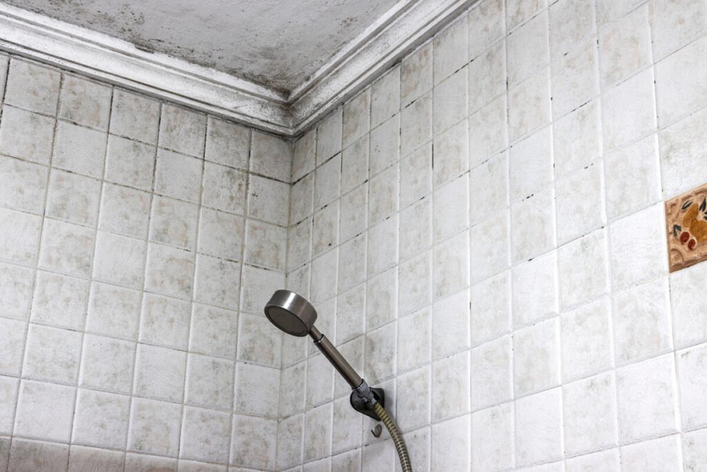Is Bathroom Mold Dangerous