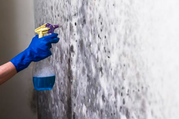 Natural vs Chemical Mold