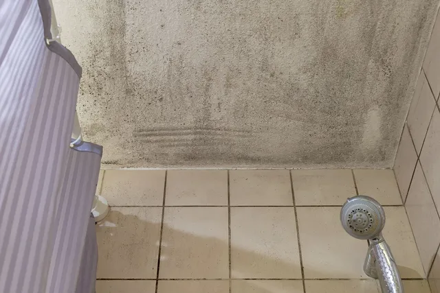 What Causes Mold in the Bathroom
