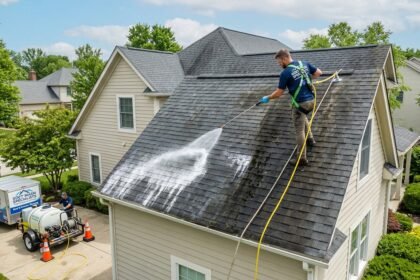 Soft Wash Roof Cleaning