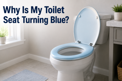 Why Is My Toilet Seat Turning Blue?