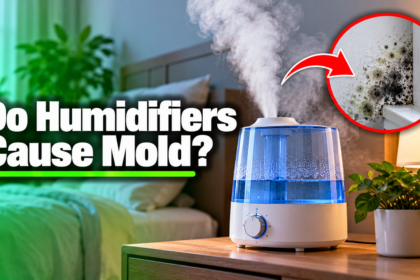 Do Humidifiers Cause Mold?