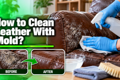 How to Clean Leather With Mold
